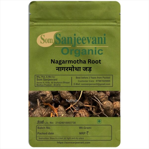 Nagarmotha Root-Natural-असली-Som Sanjeevani Organic