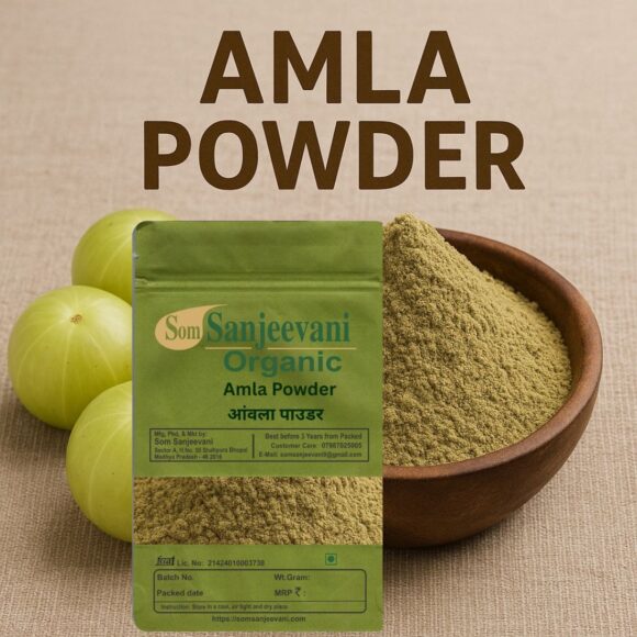 Amla Powder Seedless-Som Sanjeevani Organic - Image 2