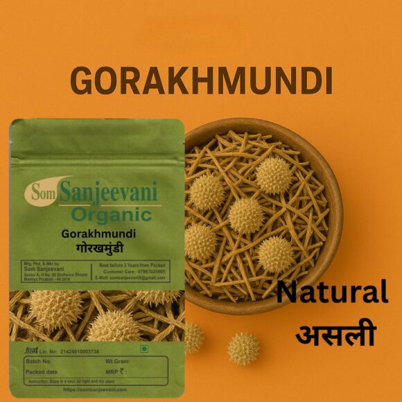 Gorakhmundi -Som Sanjeevani Organic - Image 2