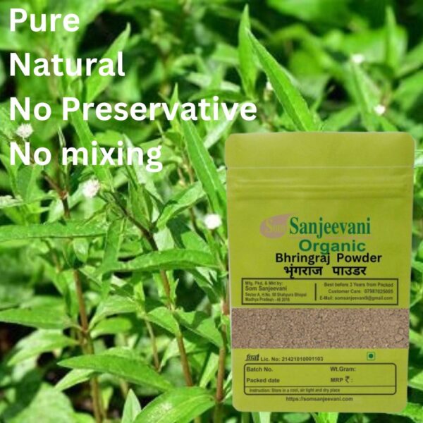 Bhringraj Powder-Som Sanjeevani Organic - Image 2