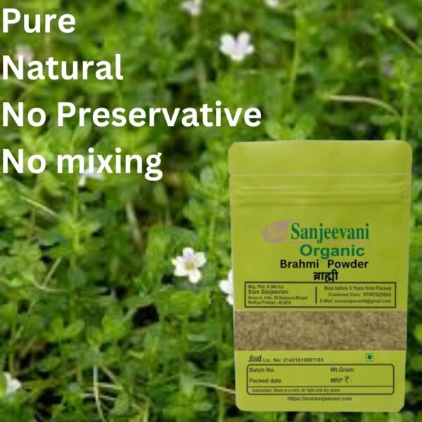 Brahmi Powder-Natural-Pure-No Mixing-Som Sanjeevani Organic - Image 3