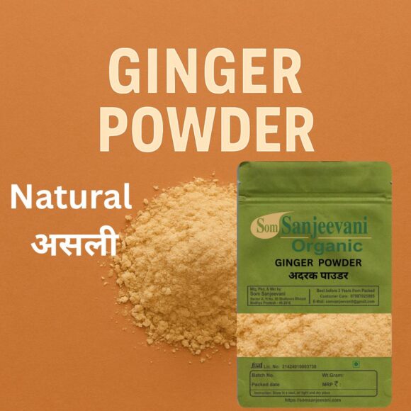 Ginger Powder-Som Sanjeevani Organic - Image 2