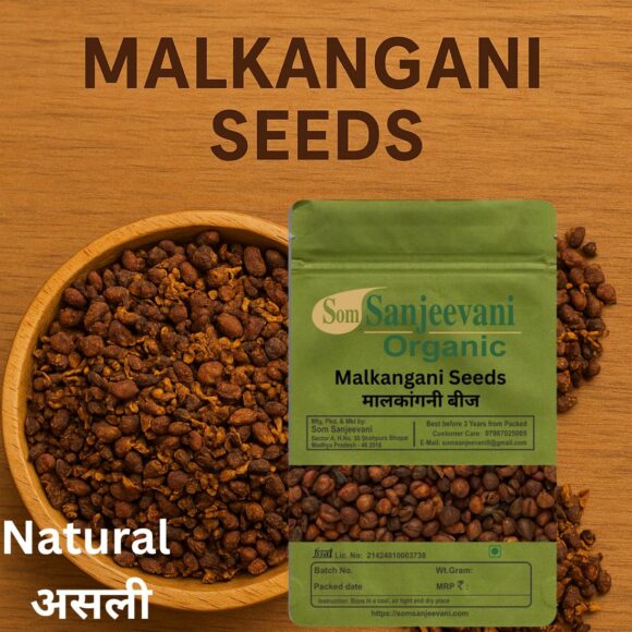 Malkangani Oil Seeds Jyotishmati-Som Sanjeevani Organic - Image 2