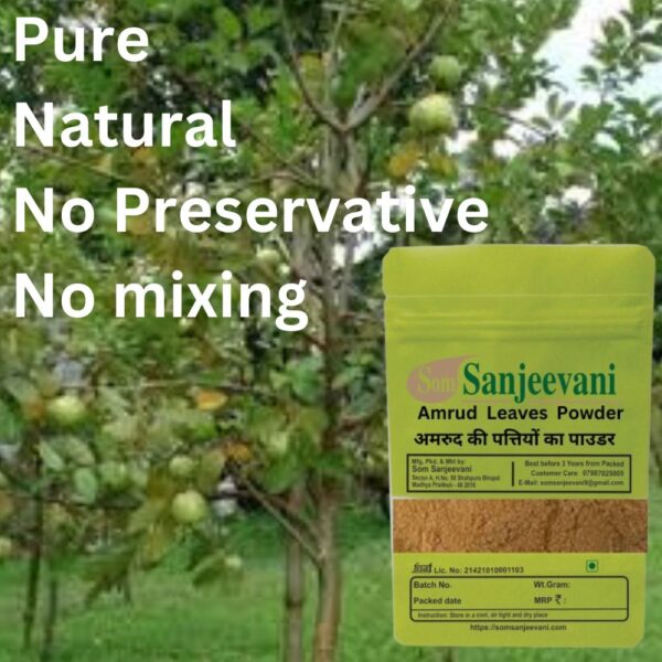 Amrud Guava Leaves Powder-essential nutrients-Strengthens digestive system -Som Sanjeevani Organic - Image 4