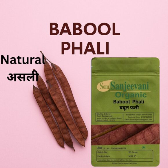 Babool Phali-Som Sanjeevani Organic - Image 2