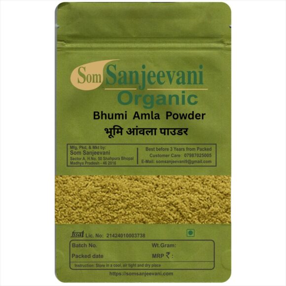 Bhumi Amla Powder-Som Sanjeevani Organic