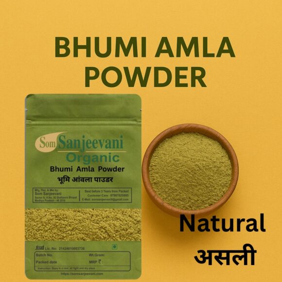 Bhumi Amla Powder-Som Sanjeevani Organic - Image 2