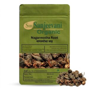 Nagarmotha Root Som Sanjeevani Organic For|Natural|असली|प्राकृतिक