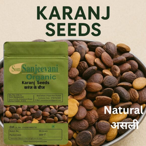 Karanj Seeds -Natural-Pure-No Mixing-Som Sanjeevani Organic - Image 2
