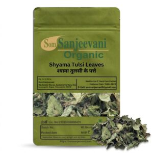 Shyama Tulsi Leaves|Holy Basil|Som Sanjeevani Organic For Stress Relief Herb