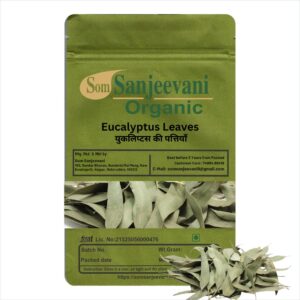 Eucalyptus Leaves Nilgiri Leaves|Neelgiri Leaves Som Sanjeevani Organic Reduces Stress Lower & joint pain