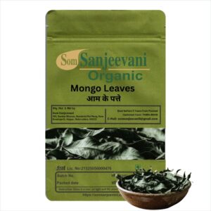 Mango Leaves Aam Ke Patte|Som Sanjeevani Organic For Traditional Puja, Kalash, Toran & Festive Household Use